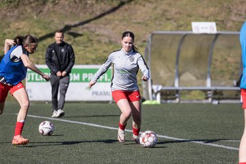 Bild 167 - wBJ Eimsbuettler TV - VfL Wolfsburg : Ergebnis: 1:3
